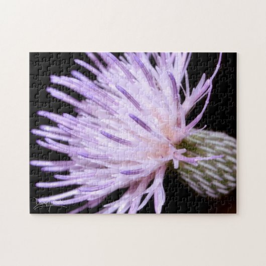 Bloeiende Nuttall Distel Legpuzzel (Horizontaal)