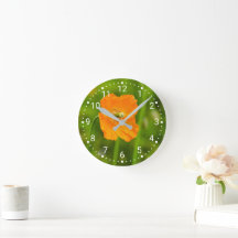 Bloeiende oranje klaproos bloem foto op groen