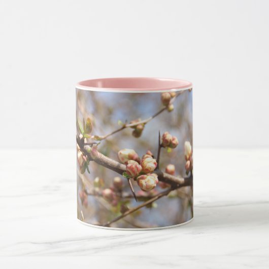 Bloeiende Orchard Pink Apple Tree Mok (Midden)