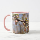 Bloeiende Orchard Pink Apple Tree Mok (Links)