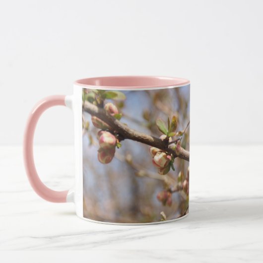 Bloeiende Orchard Pink Apple Tree Mok (Links)