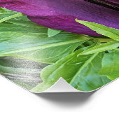 Bloeiende Paarse Dragon Lily Floral Foto Afdruk (Hoek)