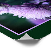 Bloeiende Paarse Scallion Allium Abstract Poster (Hoek)