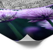 Bloeiende Paarse Scallion Lijst Voeg je eigen foto Poster (Hoek)