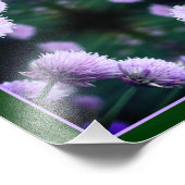 Bloeiende Paarse Scallion Onion Abstract 8x8 Foto Afdruk (Hoek)