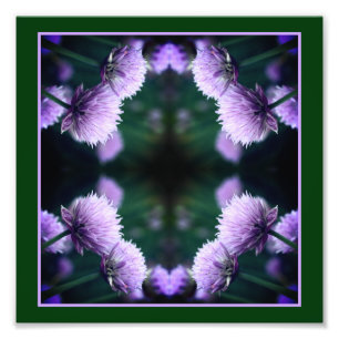 Bloeiende Paarse Scallion Onion Abstract 8x8 Foto Afdruk