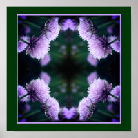 Bloeiende Paarse Scallion Ui Close Up Abstract
