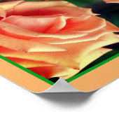 Bloeiende Perzikroos Spiegelbloem Kunst Poster (Hoek)