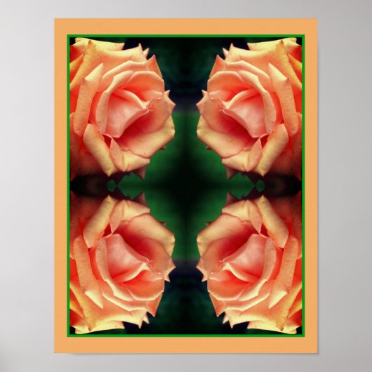 Bloeiende Perzikroos Spiegelbloem Kunst Poster (Voorkant)