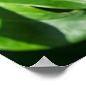 Bloeiende Pioen Poster (Hoek)