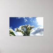 Bloeiende Plumeria tegen een stralende hemel Canvas Afdruk (Voorkant)