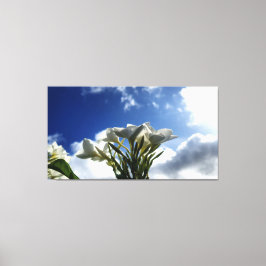 Bloeiende Plumeria tegen een stralende hemel Canvas Afdruk