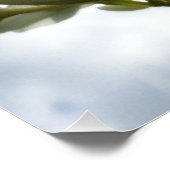 Bloeiende Plumeria tegen een stralende hemel Perfect Poster (Hoek)