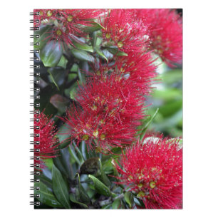 bloeiende Pohutukawa-boom Notitieboek