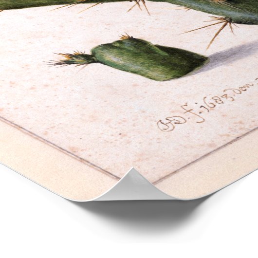 bloeiende 🌵 poster (Hoek)