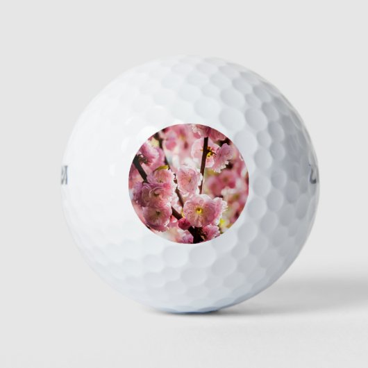 Bloeiende pruim - Roze paradijs Golfballen (Voorkant)