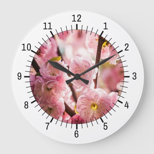 Bloeiende Pruim - Roze Paradize Grote Klok (Voorkant)