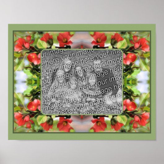 Bloeiende Quince Blossoms Creëer Uw eigen foto Poster (Voorkant)