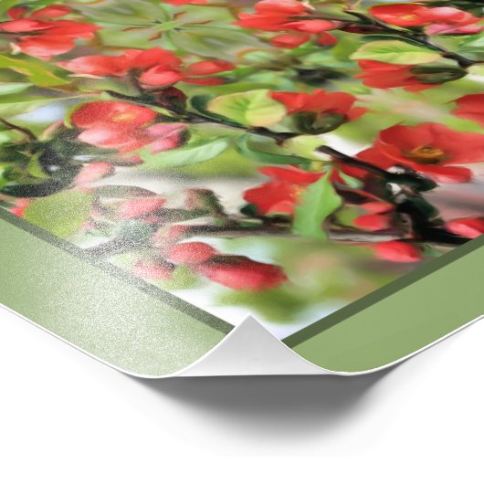 Bloeiende Quince Rode Bloesems Mirror Abstract 8x1 Foto Afdruk (Hoek)