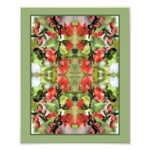 Bloeiende Quince Rode Bloesems Mirror Abstract 8x1 Foto Afdruk