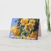 Bloeiende regenboog doucheboom Kaart (Achterkant)