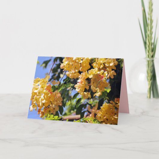 Bloeiende regenboog doucheboom Kaart (Voorkant)