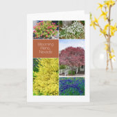 Bloeiende Reno, Nevada, bloemen foto's Kaart (Gele Bloem)