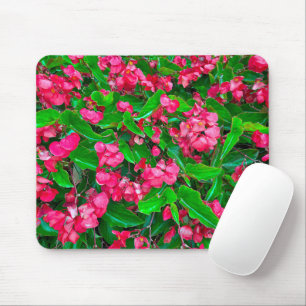Bloeiende rode Begonia bloemen Muismat