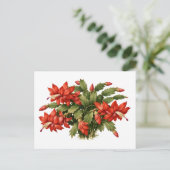 Bloeiende Rode Kerst Cactus Plant  Briefkaart (Staand voorkant)