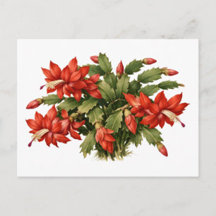 Bloeiende Rode Kerst Cactus Plant Briefkaart