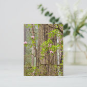 Bloeiende Rododendrons | Redwoods State Park,CA Briefkaart (Staand voorkant)