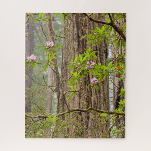 Bloeiende Rododendrons | Redwoods State Park,CA Legpuzzel (Verticaal)