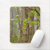 Bloeiende Rododendrons | Redwoods State Park,CA Muismat (Met muis)