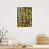 Bloeiende Rododendrons | Redwoods State Park,CA Poster (Keuken)