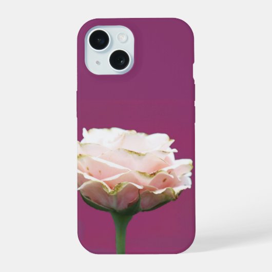 Bloeiende Roos Alleen op Magenta iPhone 15 Case (Achterkant)