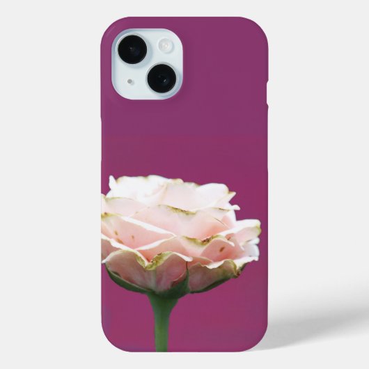 Bloeiende Roos Single op Magenta Case-Mate iPhone Case (Achterkant)