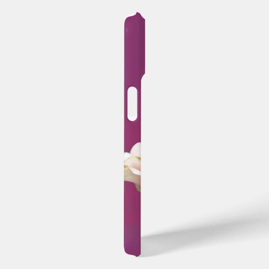 Bloeiende Roos Single op Magenta Case-Mate iPhone Case (Achterkant / Rechts)