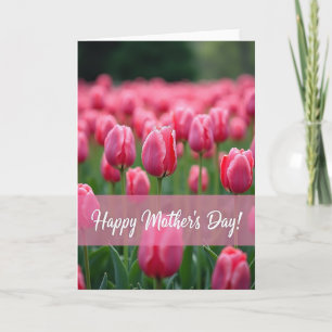 Bloeiende Roze Bloemblaadjes Kaart