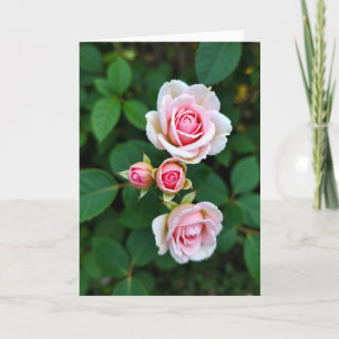 Bloeiende Roze Bloesem Kaart