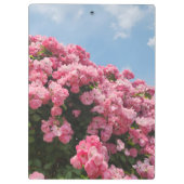 Bloeiende Roze Cascade Klembord (Achterkant)