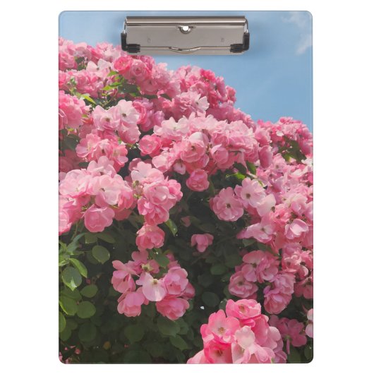 Bloeiende Roze Cascade Klembord (Voorkant)