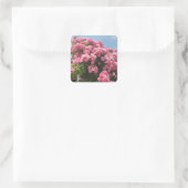 Bloeiende Roze Cascade Vierkante Sticker (Tas)