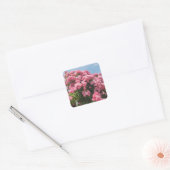 Bloeiende Roze Cascade Vierkante Sticker (Envelop)