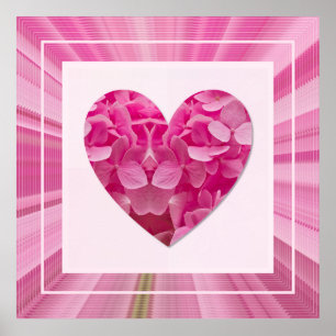 Bloeiende Roze Hortensia Bloem Hartvormig Kader Poster