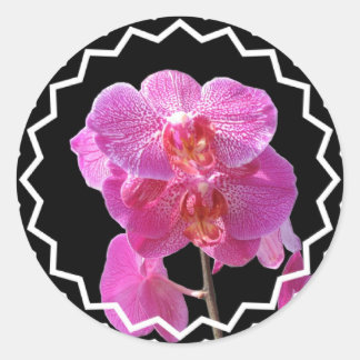 Bloeiende roze orchideeën Sticker