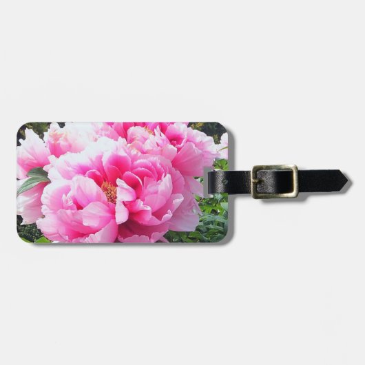 Bloeiende Roze Pioenrozen Bagagelabel (Voorkant horizontaal)