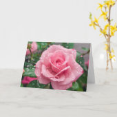 Bloeiende roze roos met regendruppels kaart (Gele Bloem)