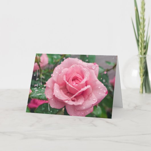 Bloeiende roze roos met regendruppels kaart (Voorkant)