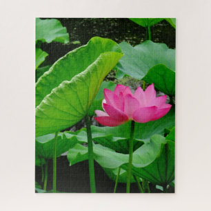 Bloeiende Roze Waterlelie Legpuzzel