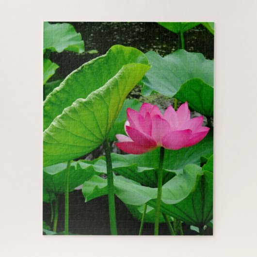 Bloeiende Roze Waterlelie Legpuzzel (Verticaal)